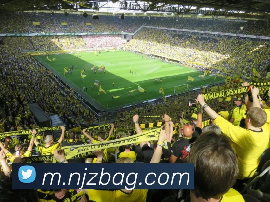 ag百家乐APP 封面图